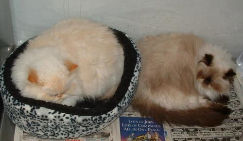Sophie and Max