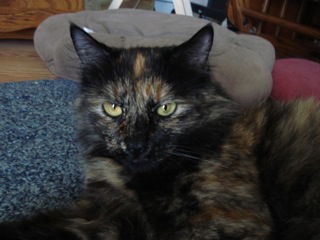 Priscilla