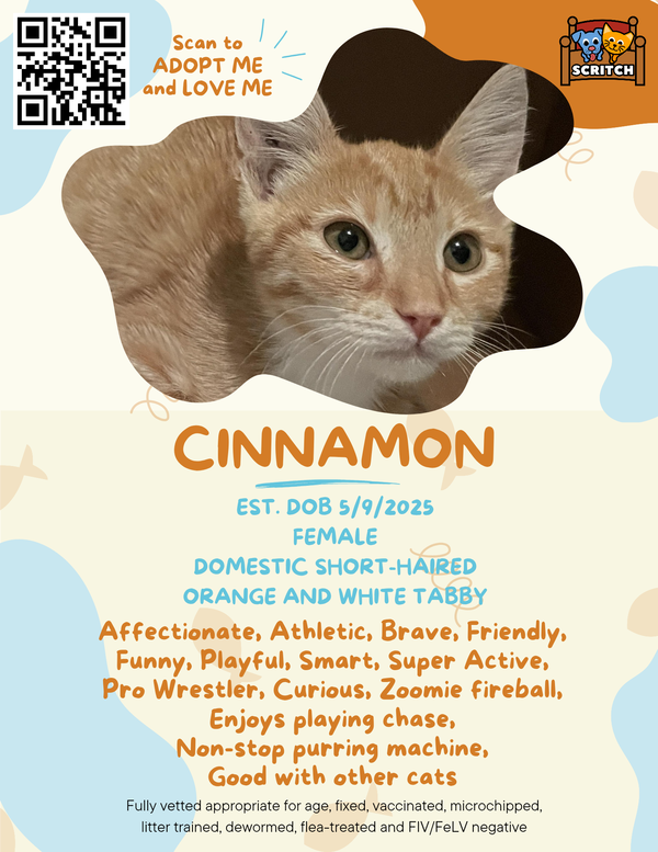 Cinnamon