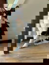 Nitro