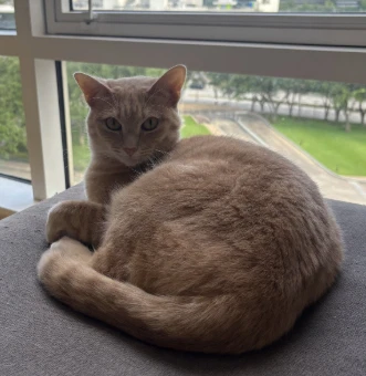 Frankie