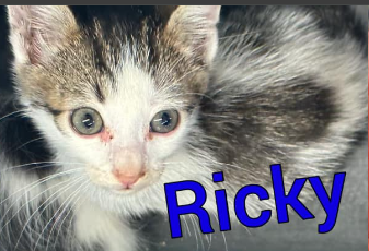 Ricky