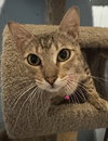 Sammie - Photo 1