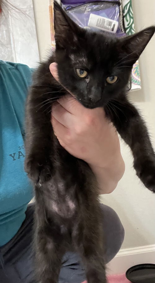 Binx
