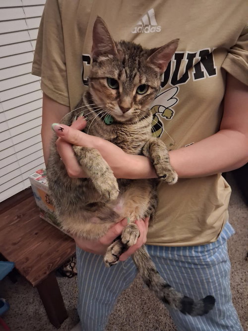 Freya