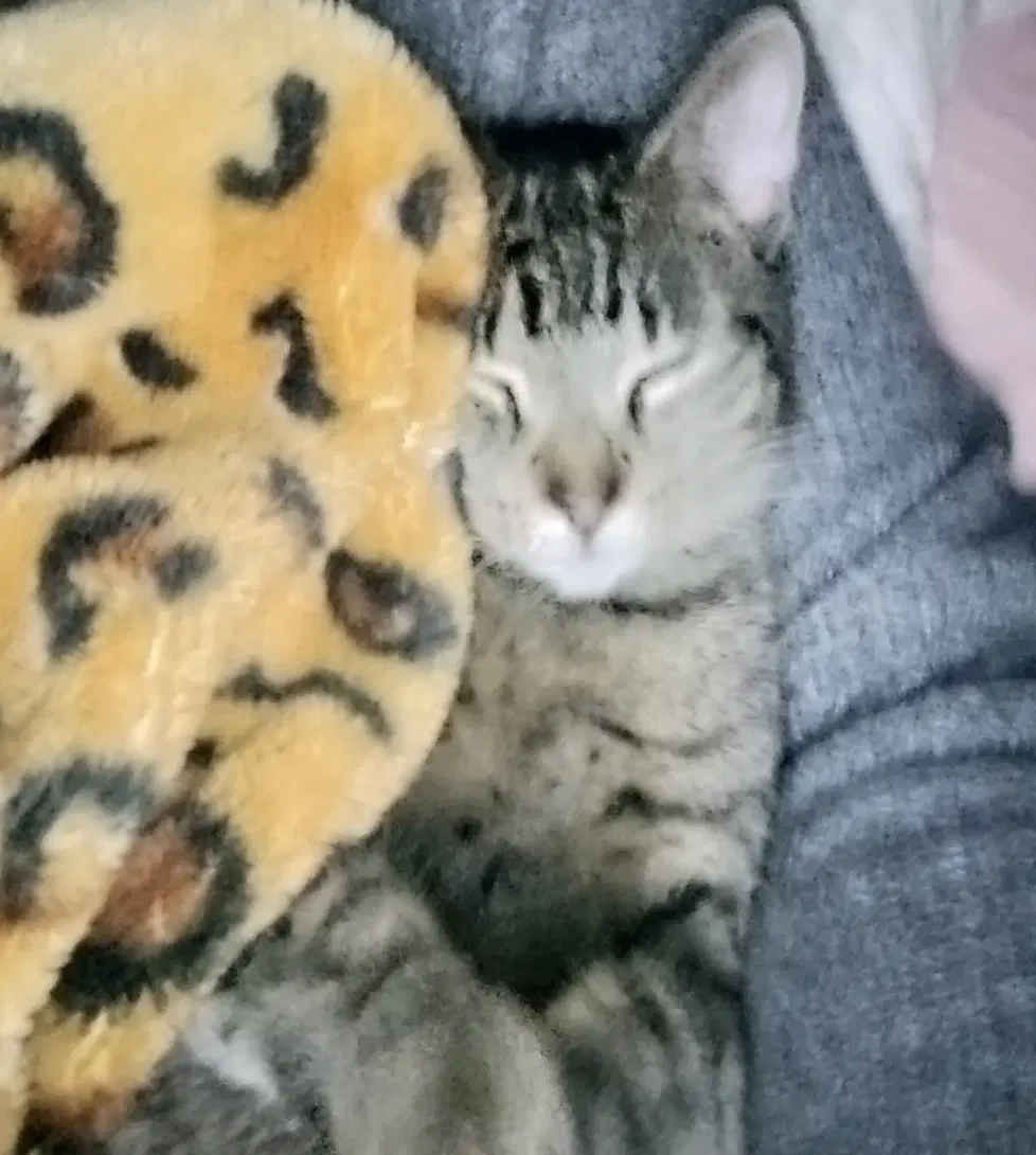 Mateo image 2