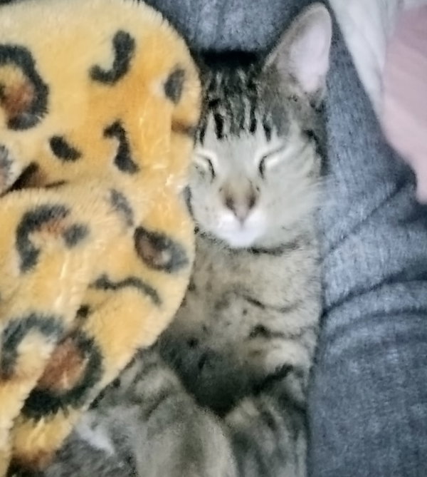 Mateo