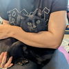 adoptable Cat in  named Toothless