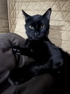 Miles - Photo 2