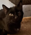 Miles - Photo 3