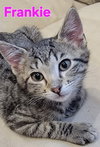 Frankie