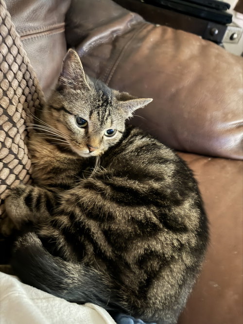 Kit