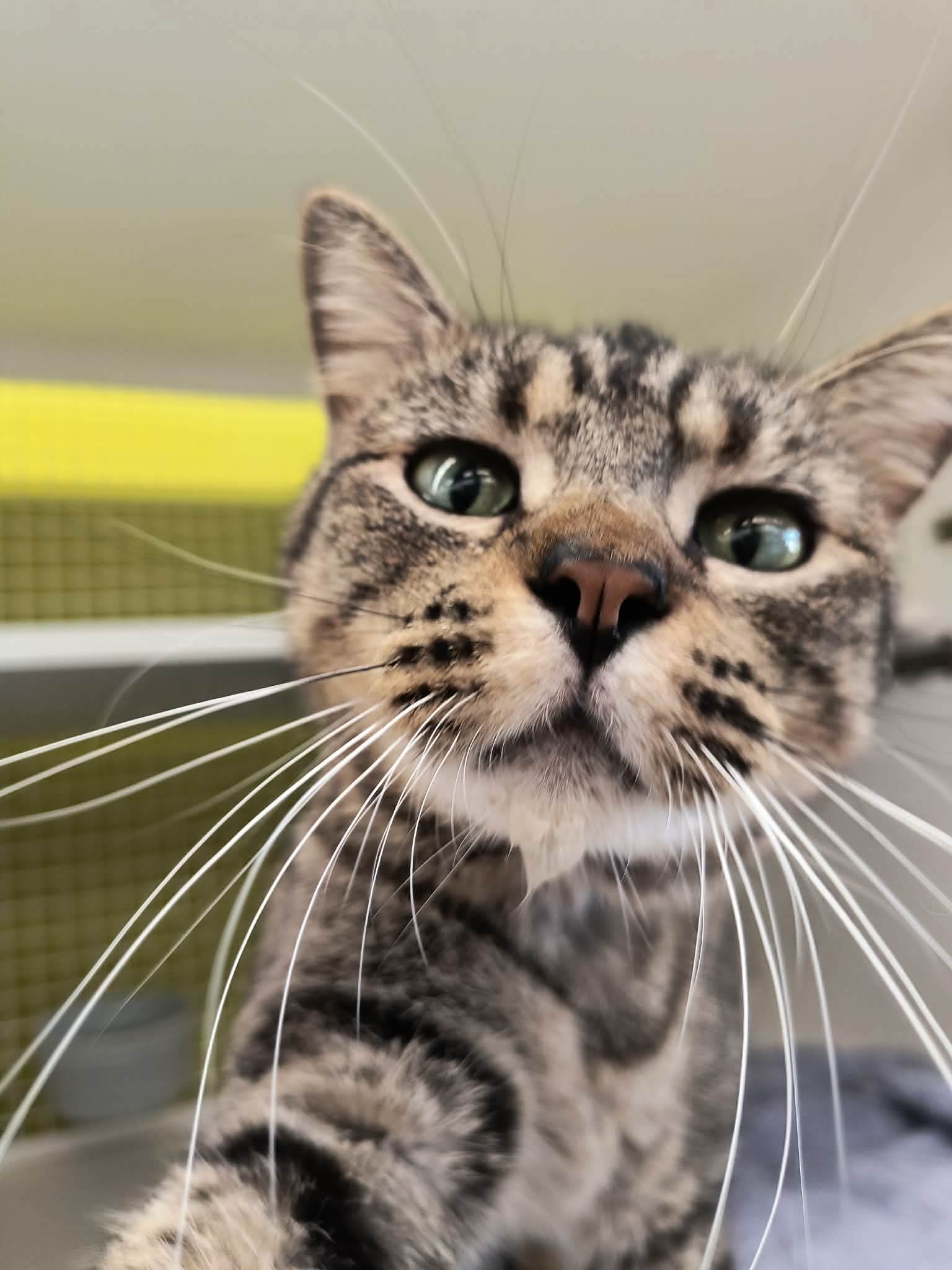 Minka Image