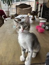 Precious