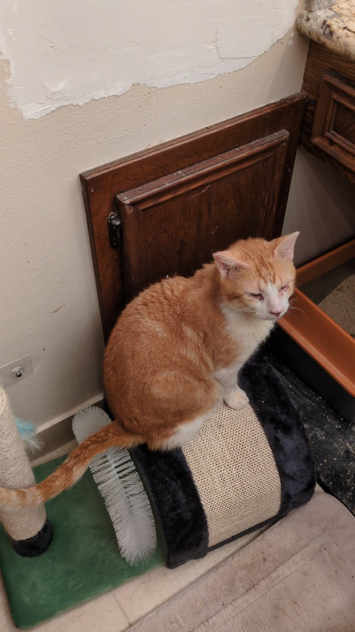 Stanley Image