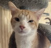 Stanley - Photo 1