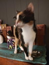 Nyla - Photo 2