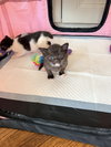 Mitten - Photo 3