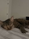 Mya - Photo 2