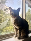 Mya - Photo 4