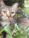 Mya - Photo 5