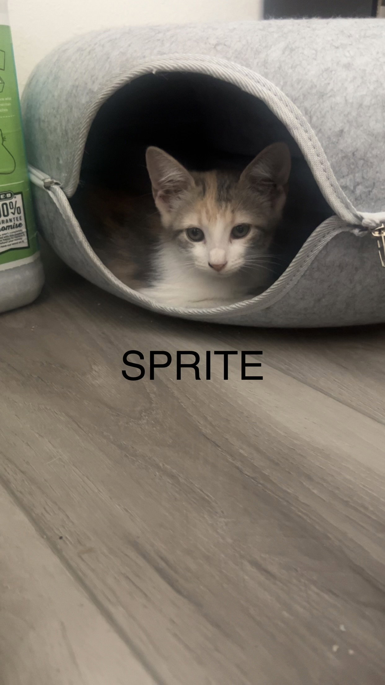 Sprite
