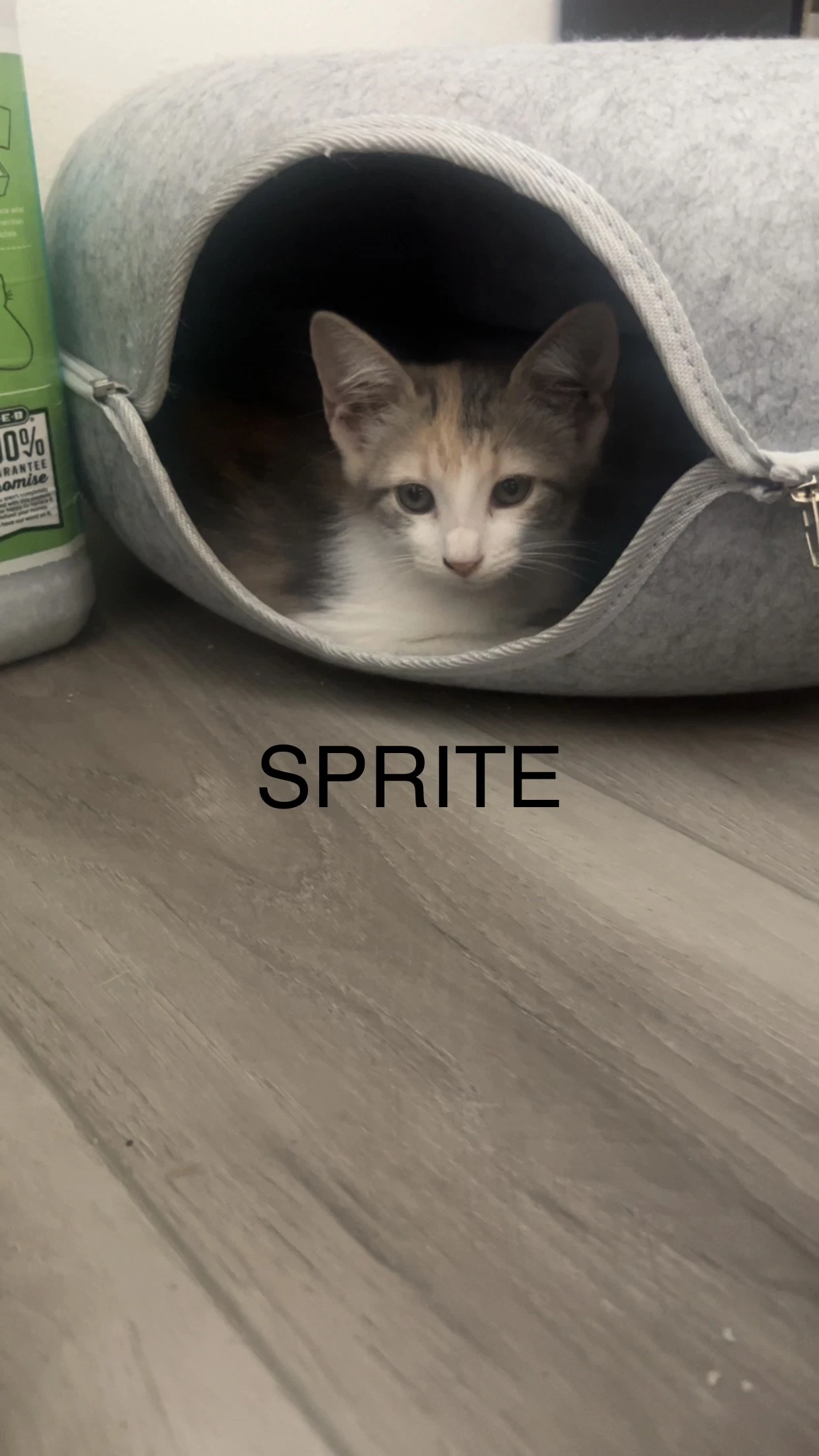 Sprite