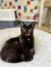 tiny - Photo 2
