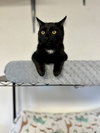 Spot - Photo 2