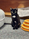 Juno - Photo 1