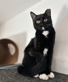 Mittens - Photo 4