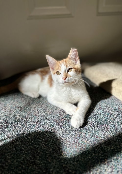 Photo of Winslow