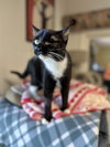Twix - Photo 1