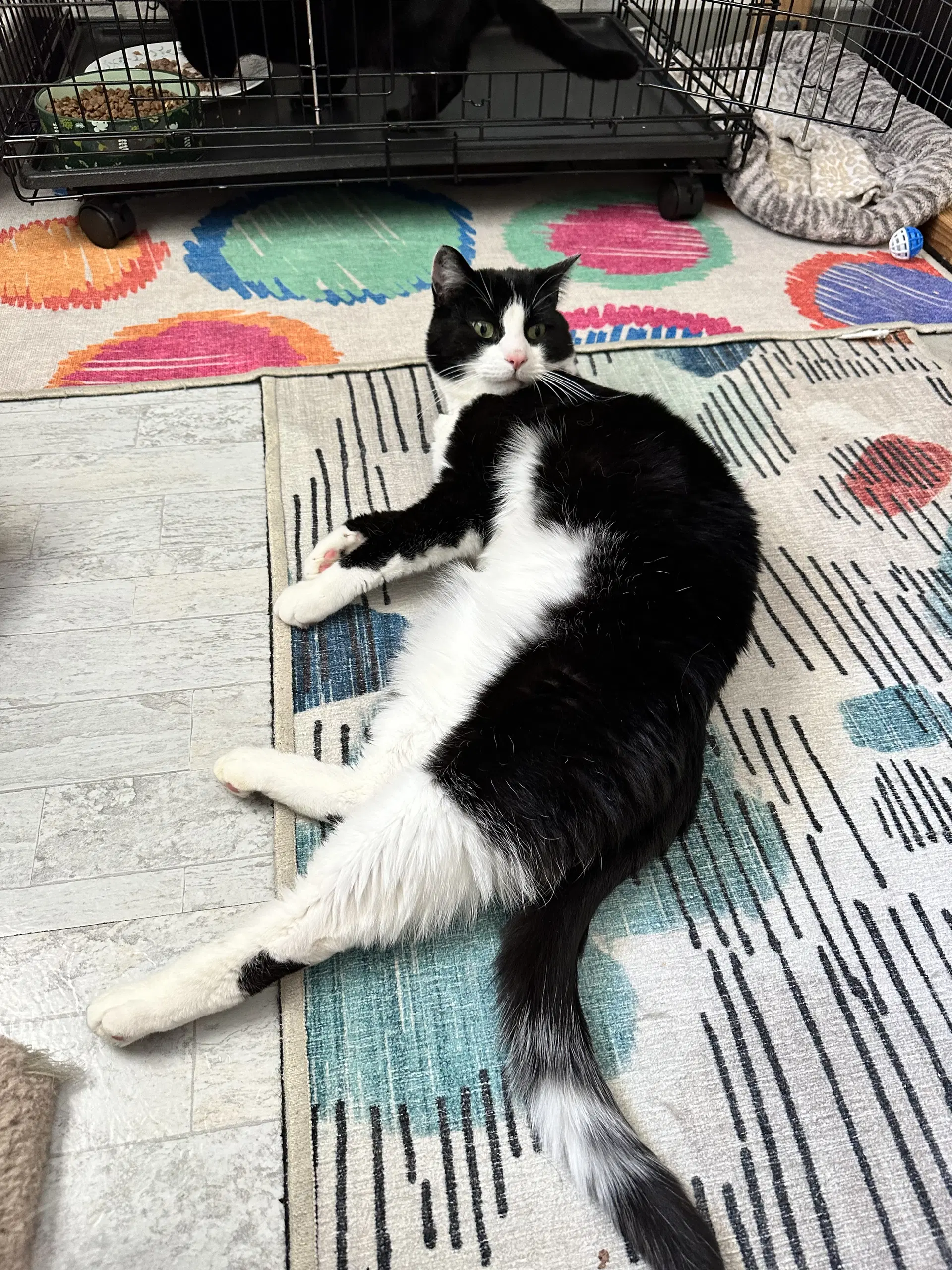 Sonny image 3
