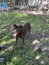 Charle - Photo 4