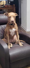Ripley - Photo 3