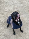 Zeus - Photo 2