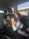 Koba - Photo 4