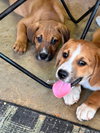 Dave and Jeff - Photo 3