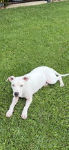 Hope - Photo 1