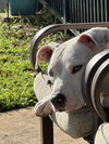 Hope - Photo 2