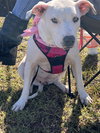 Hope - Photo 3