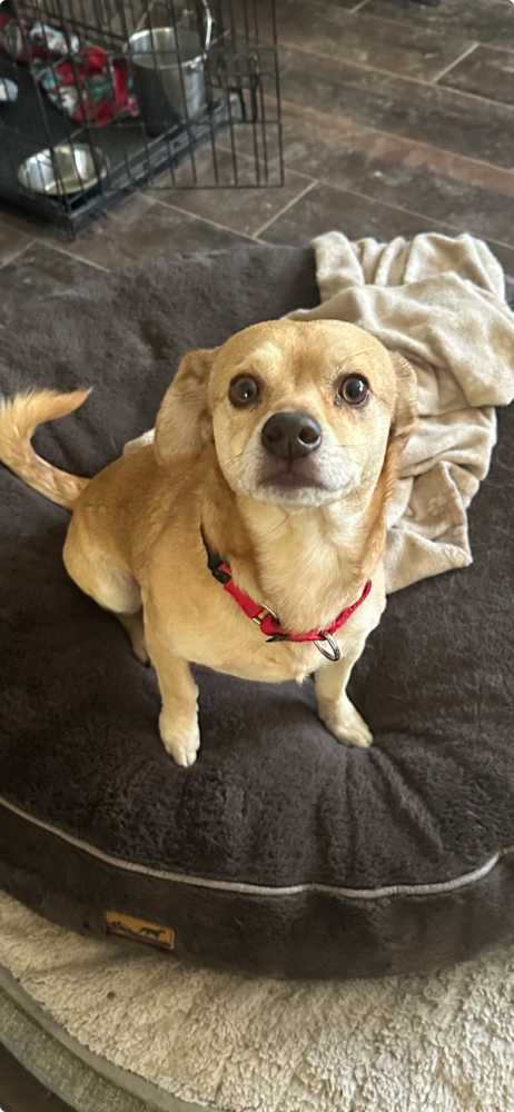 Paco