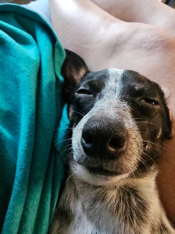 Chico Benito