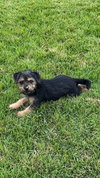 Heidi - Photo 2