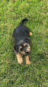 Heidi - Photo 3
