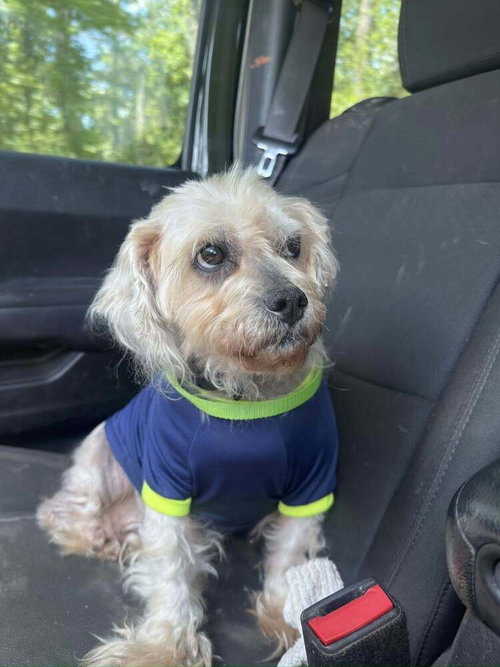 Theodore "Teddy