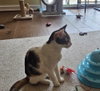 Chloe - Photo 3