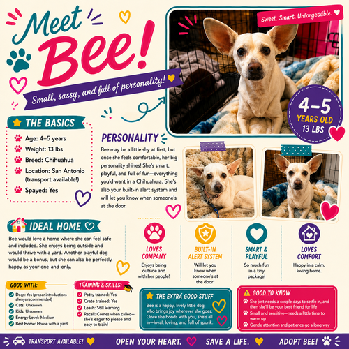 Bee