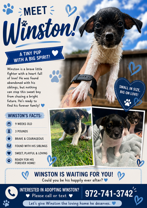 Winston